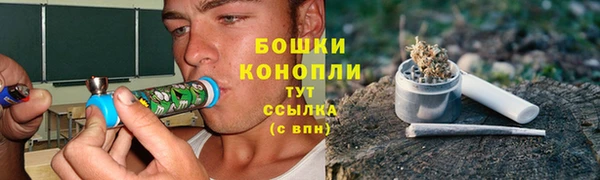 соль ск Балахна