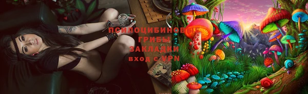 соль ск Балахна
