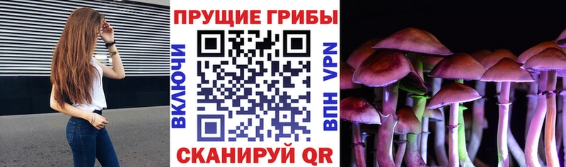 Галлюциногенные грибы мицелий  blacksprut зеркало  Торжок  купить наркотик 